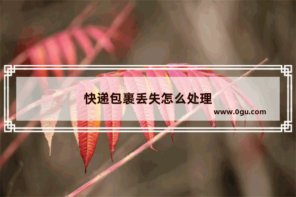 快递包裹丢失怎么处理