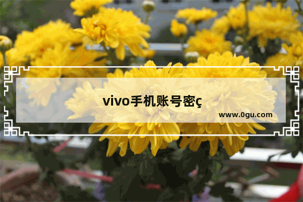 vivo手机账号密码忘了怎么解锁