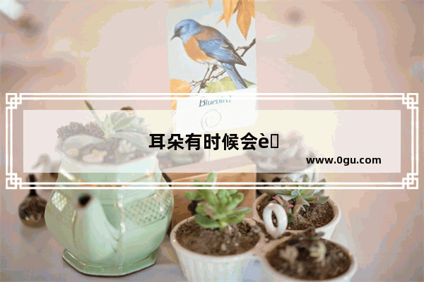 耳朵有时候会耳鸣 是什么原因