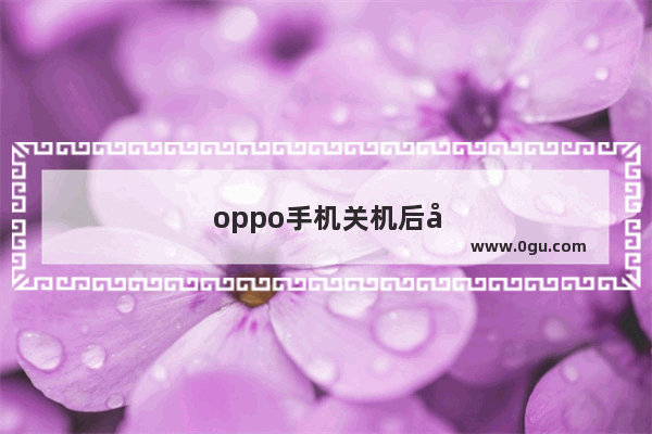 oppo手机关机后开不开机怎么办