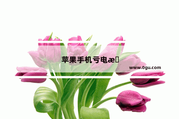 苹果手机亏电怎么办