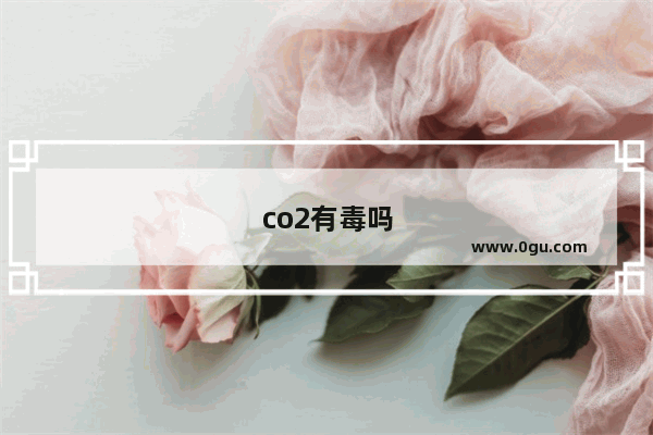 co2有毒吗