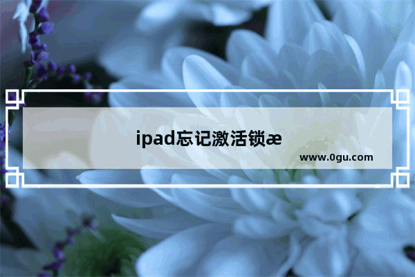 ipad忘记激活锁怎么办解开