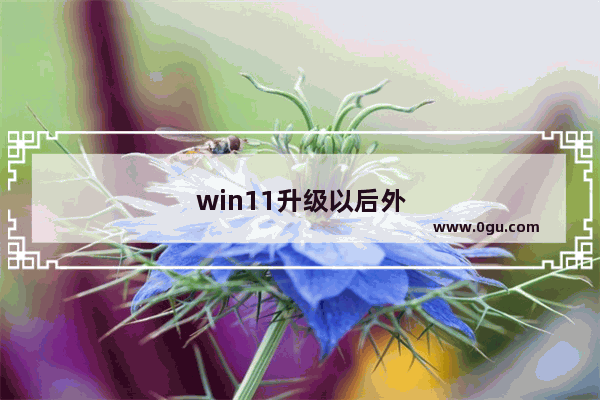 win11升级以后外设键盘失灵怎么办