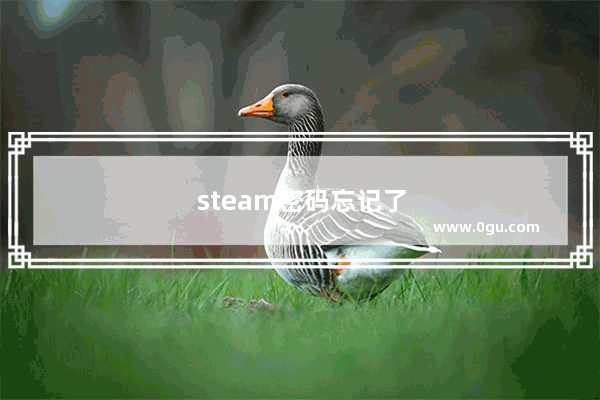 steam密码忘记了怎么办