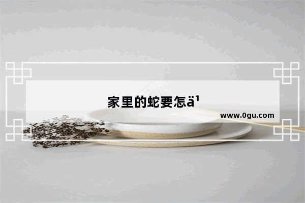 家里的蛇要怎么处理