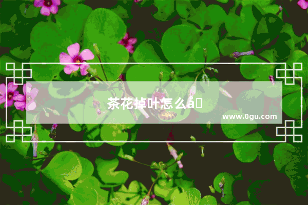 茶花掉叶怎么办?