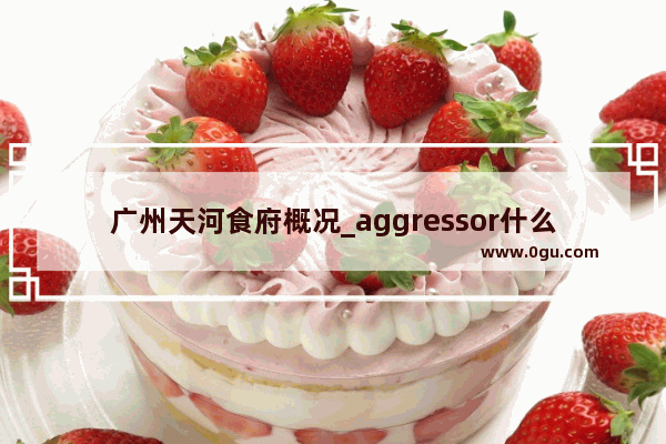 广州天河食府概况_aggressor什么牌子