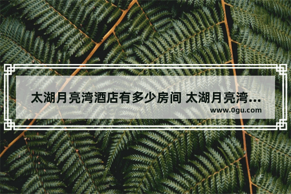 太湖月亮湾酒店有多少房间 太湖月亮湾附近的美食推荐店铺地址在哪里啊