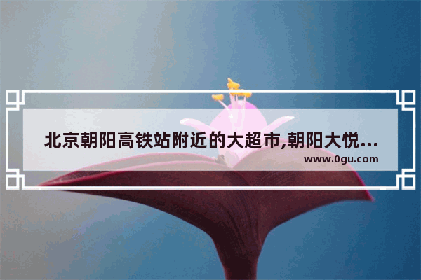 北京朝阳高铁站附近的大超市,朝阳大悦城美食推荐地道在哪里啊