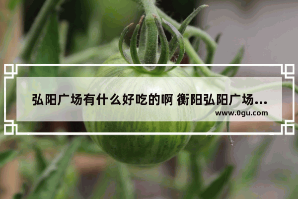 弘阳广场有什么好吃的啊 衡阳弘阳广场美食推荐在哪里啊多少钱