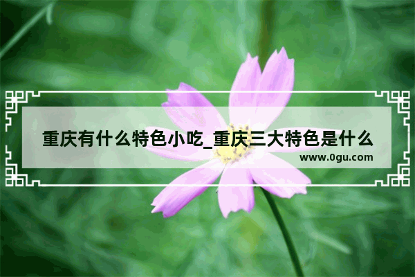 重庆有什么特色小吃_重庆三大特色是什么