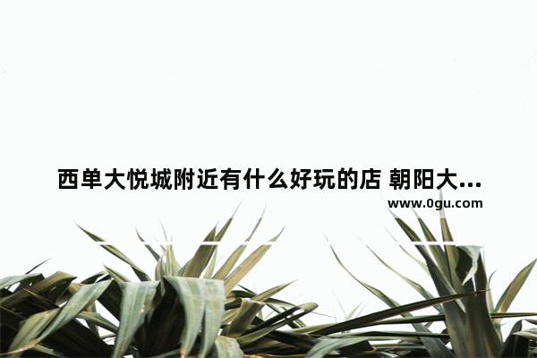 西单大悦城附近有什么好玩的店 朝阳大悦城美食推荐,2021年11月9日