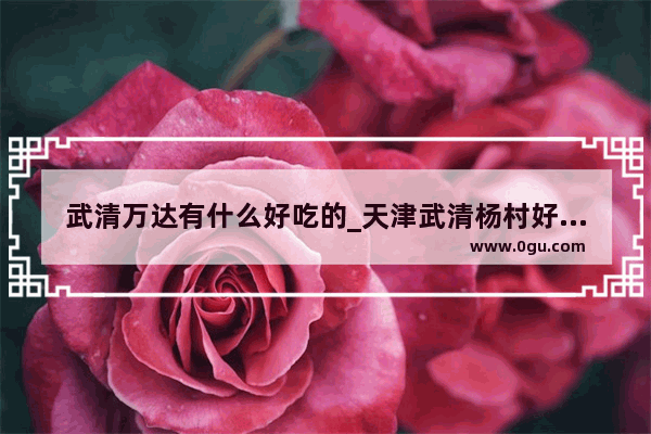 武清万达有什么好吃的_天津武清杨村好吃的