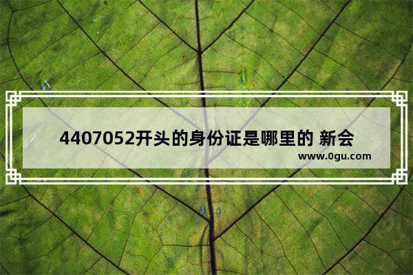 4407052开头的身份证是哪里的 新会大泽美食推荐店在哪里啊多少钱