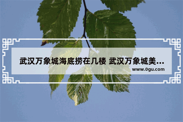 武汉万象城海底捞在几楼 武汉万象城美食推荐店铺在几楼开的