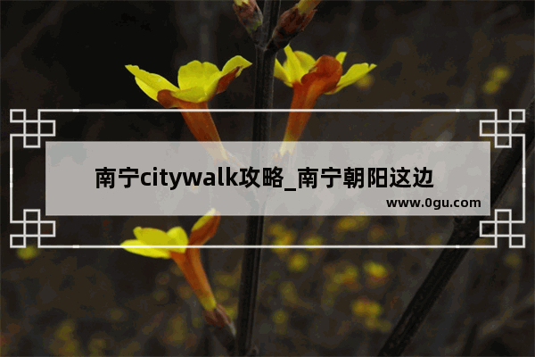 南宁citywalk攻略_南宁朝阳这边 哪家餐厅最好吃