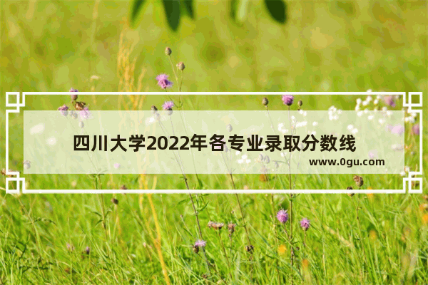 四川大学2022年各专业录取分数线