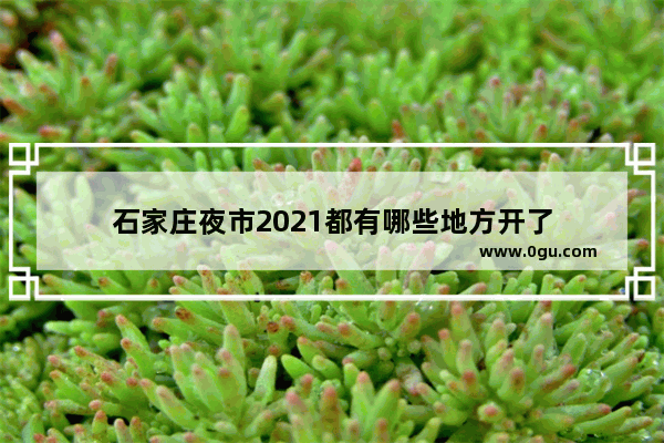 石家庄夜市2021都有哪些地方开了