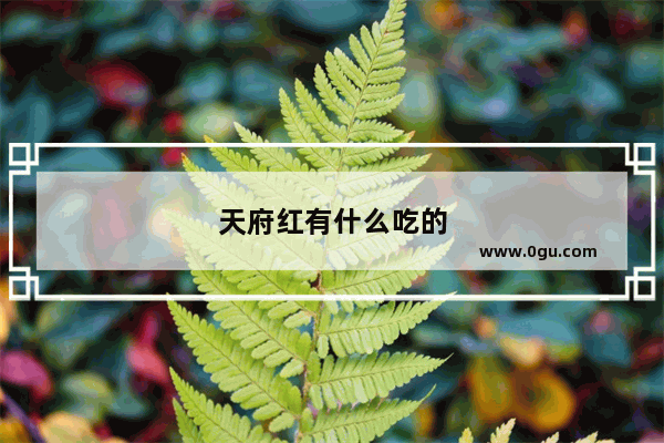 天府红有什么吃的