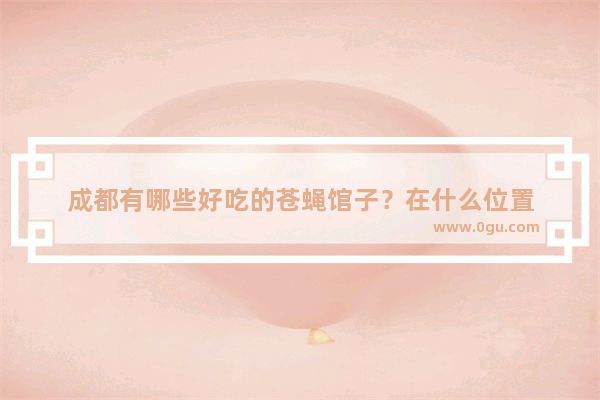 成都有哪些好吃的苍蝇馆子？在什么位置