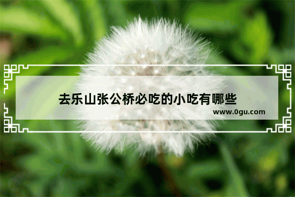 去乐山张公桥必吃的小吃有哪些