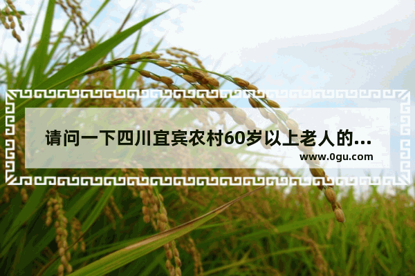 请问一下四川宜宾农村60岁以上老人的养老金政策?谢谢