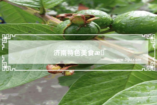 济南特色美食推荐餐厅