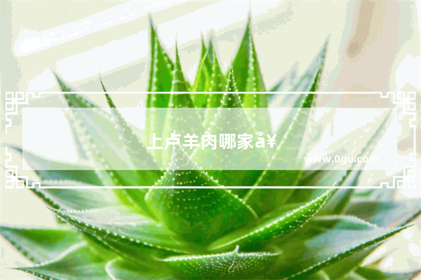 上卢羊肉哪家好吃