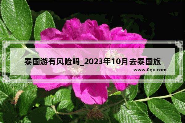 泰国游有风险吗_2023年10月去泰国旅游安全吗