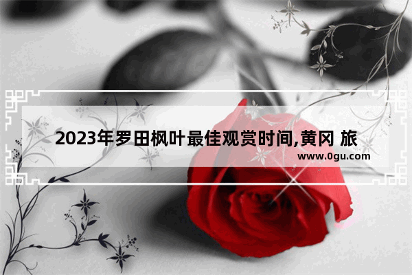 2023年罗田枫叶最佳观赏时间,黄冈 旅游攻略