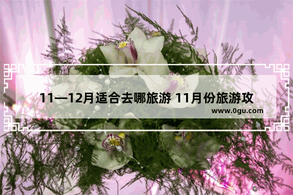 11—12月适合去哪旅游 11月份旅游攻略