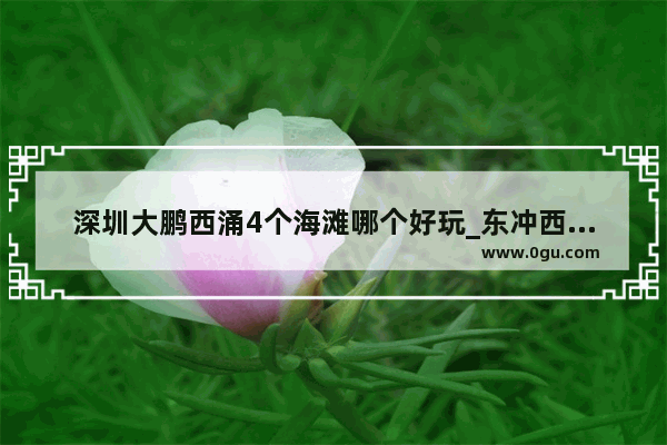 深圳大鹏西涌4个海滩哪个好玩_东冲西冲哪个沙滩好玩一点