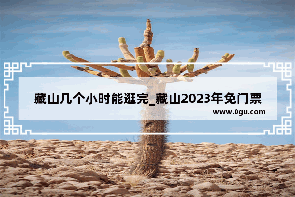 藏山几个小时能逛完_藏山2023年免门票吗