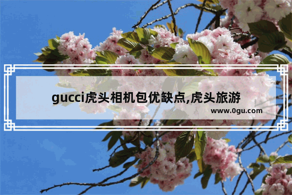 gucci虎头相机包优缺点,虎头旅游