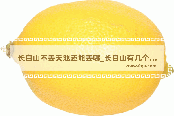 长白山不去天池还能去哪_长白山有几个入口