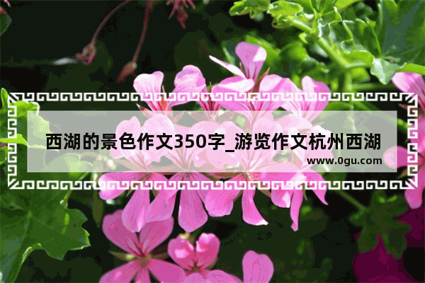 西湖的景色作文350字_游览作文杭州西湖开头结尾