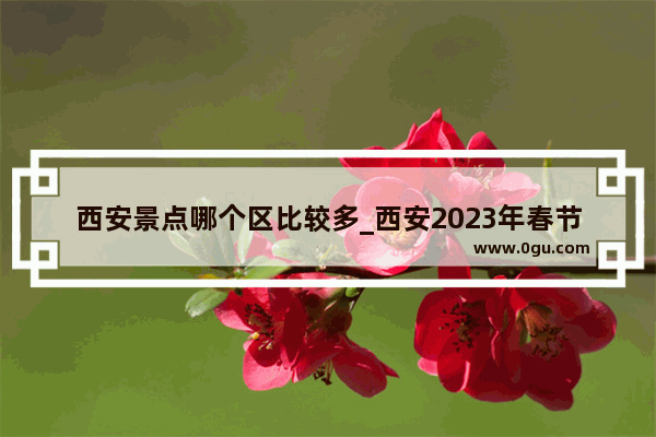 西安景点哪个区比较多_西安2023年春节接待游客多少人