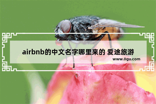 airbnb的中文名字哪里来的 爱途旅游