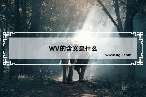 WV的含义是什么