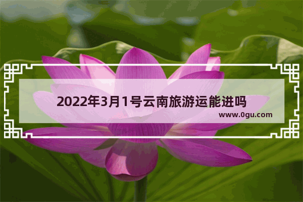 2022年3月1号云南旅游运能进吗