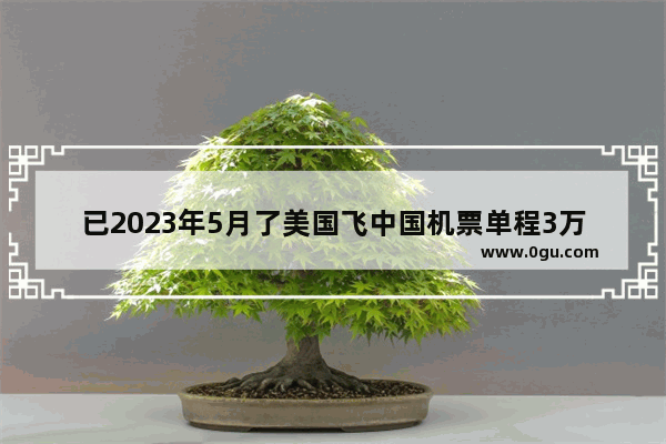 已2023年5月了美国飞中国机票单程3万元左右！为何这么贵