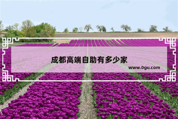 成都高端自助有多少家