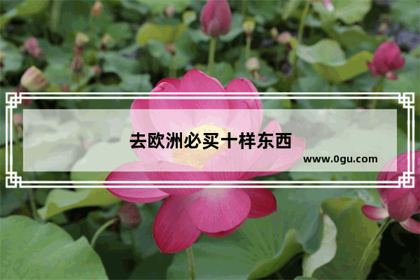 去欧洲必买十样东西