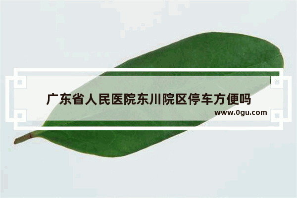 广东省人民医院东川院区停车方便吗