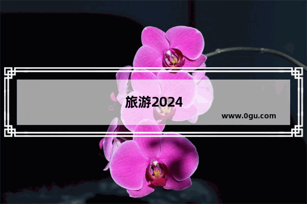 旅游2024