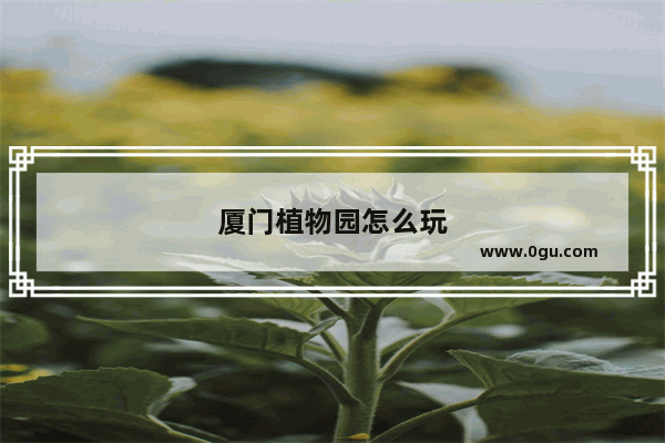 厦门植物园怎么玩