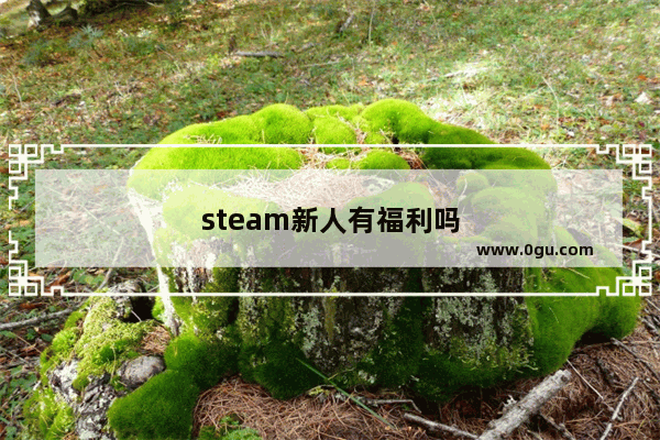 steam新人有福利吗