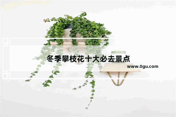 冬季攀枝花十大必去景点