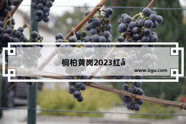 桐柏黄岗2023红叶景区免门票吗